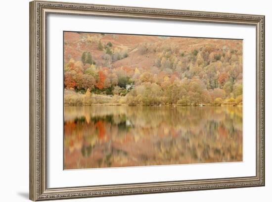 Autumn Colours Reflected in Grasmere Lake in the Lake District National Park-Julian Elliott-Framed Photographic Print