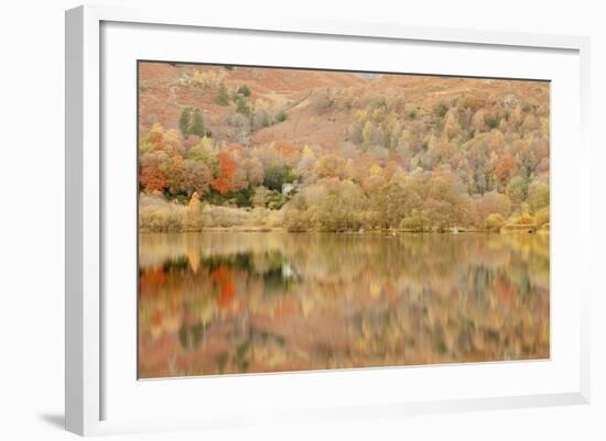 Autumn Colours Reflected in Grasmere Lake in the Lake District National Park-Julian Elliott-Framed Photographic Print