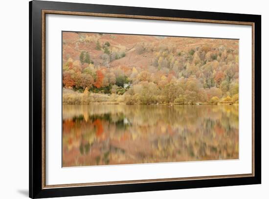 Autumn Colours Reflected in Grasmere Lake in the Lake District National Park-Julian Elliott-Framed Photographic Print