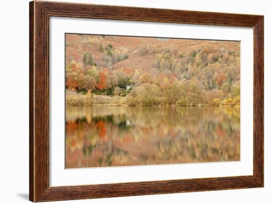 Autumn Colours Reflected in Grasmere Lake in the Lake District National Park-Julian Elliott-Framed Photographic Print