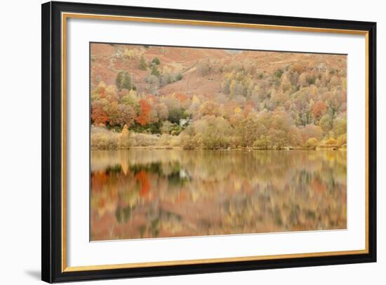 Autumn Colours Reflected in Grasmere Lake in the Lake District National Park-Julian Elliott-Framed Photographic Print