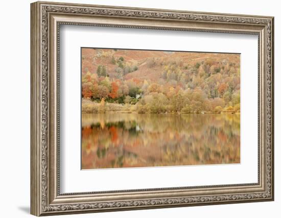 Autumn Colours Reflected in Grasmere Lake in the Lake District National Park-Julian Elliott-Framed Photographic Print