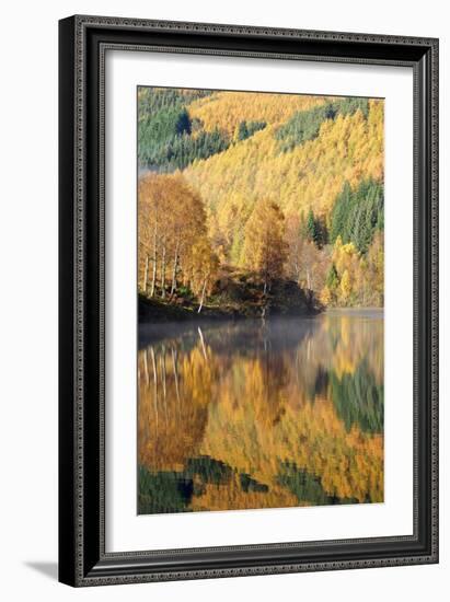 Autumn Colours Showing on the Wooded Banks of Loch Tummel-Stephen Taylor-Framed Photographic Print