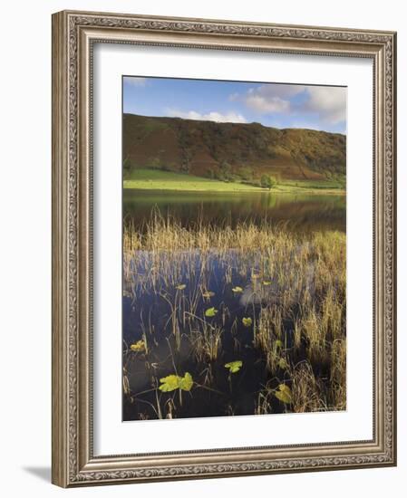 Autumn Colours, Watendlath Tarn, Borrowdale, Lake District National Park, Cumbria, England, UK-Neale Clarke-Framed Photographic Print