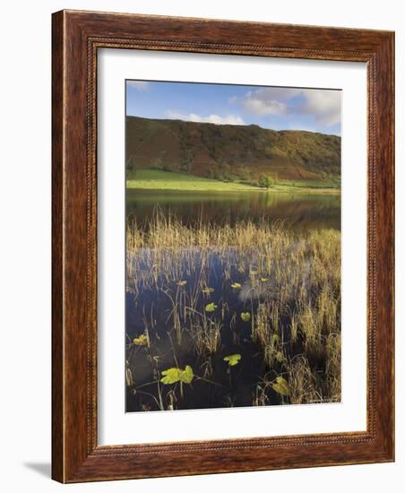 Autumn Colours, Watendlath Tarn, Borrowdale, Lake District National Park, Cumbria, England, UK-Neale Clarke-Framed Photographic Print