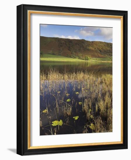 Autumn Colours, Watendlath Tarn, Borrowdale, Lake District National Park, Cumbria, England, UK-Neale Clarke-Framed Photographic Print