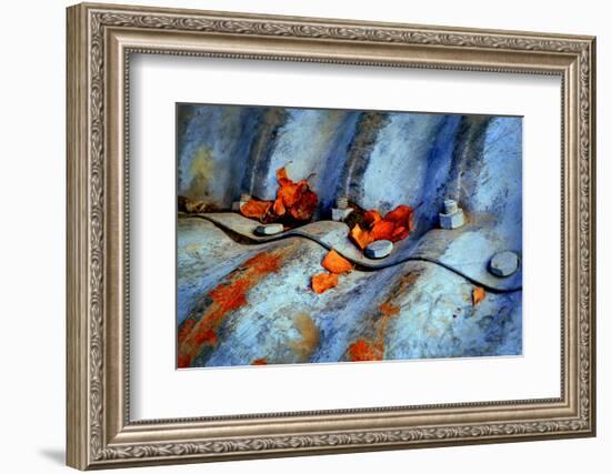 Autumn Colours-Ursula Abresch-Framed Photographic Print