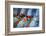 Autumn Colours-Ursula Abresch-Framed Photographic Print