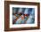 Autumn Colours-Ursula Abresch-Framed Photographic Print