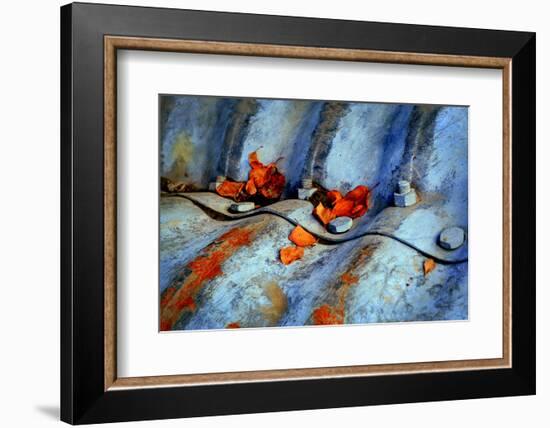 Autumn Colours-Ursula Abresch-Framed Photographic Print