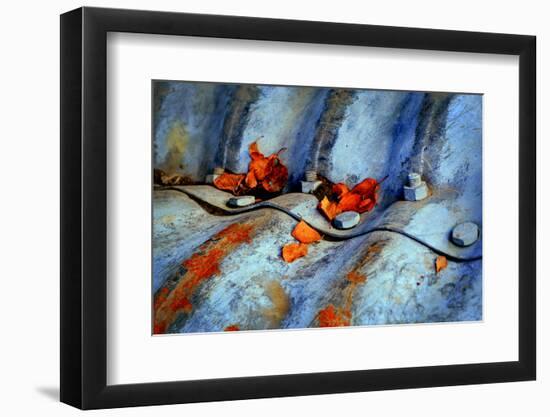 Autumn Colours-Ursula Abresch-Framed Photographic Print