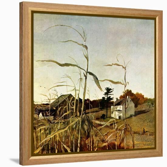 "Autumn Cornfield,"October 1, 1950-Andrew Wyeth-Framed Premier Image Canvas