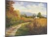 Autumn Country Road-Mary Jean Weber-Mounted Art Print