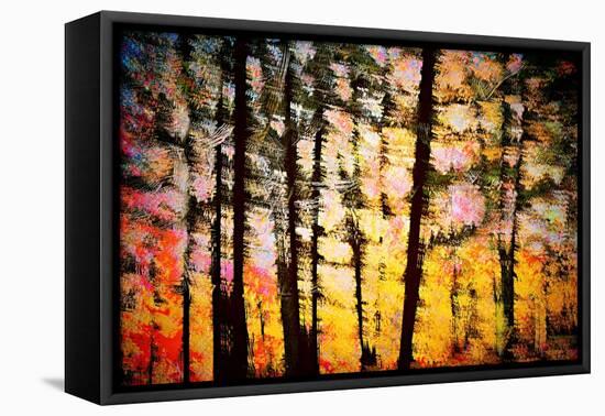 Autumn Courtain-Ursula Abresch-Framed Premier Image Canvas
