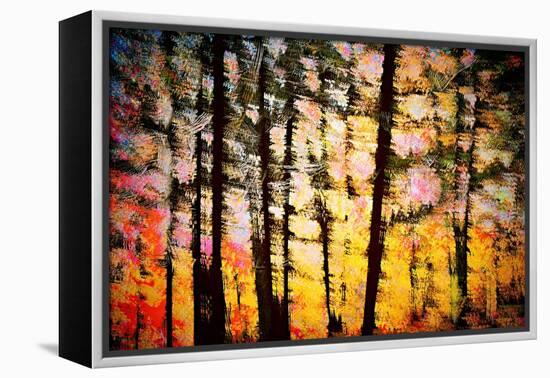 Autumn Courtain-Ursula Abresch-Framed Premier Image Canvas