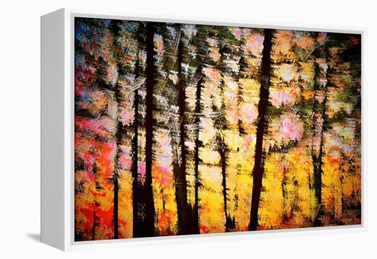 Autumn Courtain-Ursula Abresch-Framed Premier Image Canvas