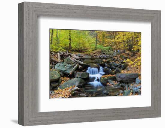 Autumn Creek Closeup Panorama with Yellow Maple Trees and Foliage on Rocks in Forest with Tree Bran-Songquan Deng-Framed Photographic Print