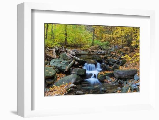 Autumn Creek Closeup Panorama with Yellow Maple Trees and Foliage on Rocks in Forest with Tree Bran-Songquan Deng-Framed Photographic Print