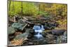 Autumn Creek Closeup Panorama with Yellow Maple Trees and Foliage on Rocks in Forest with Tree Bran-Songquan Deng-Mounted Photographic Print