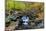 Autumn Creek Closeup Panorama with Yellow Maple Trees and Foliage on Rocks in Forest with Tree Bran-Songquan Deng-Mounted Photographic Print