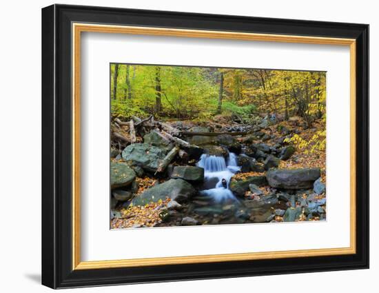 Autumn Creek Closeup Panorama with Yellow Maple Trees and Foliage on Rocks in Forest with Tree Bran-Songquan Deng-Framed Photographic Print