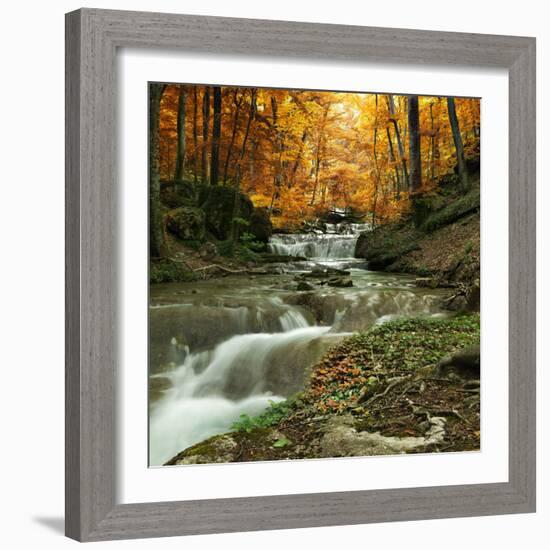 Autumn Creek Woods with Yellow Trees Foliage and Rocks in Forest Mountain.-Irochka-Framed Photographic Print