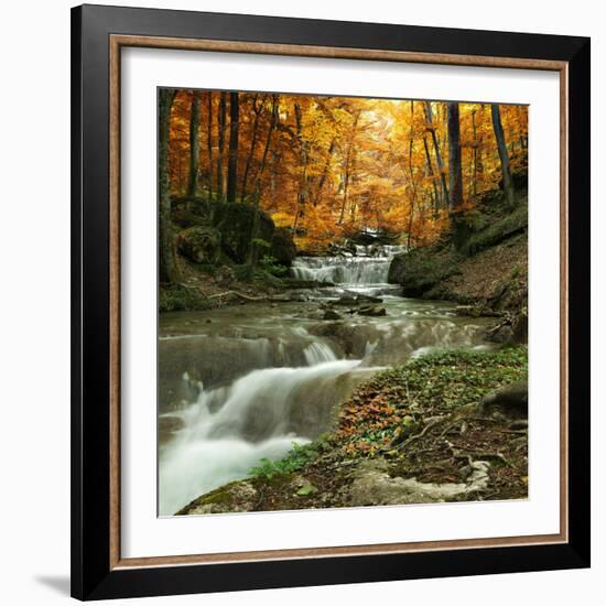 Autumn Creek Woods with Yellow Trees Foliage and Rocks in Forest Mountain.-Irochka-Framed Photographic Print