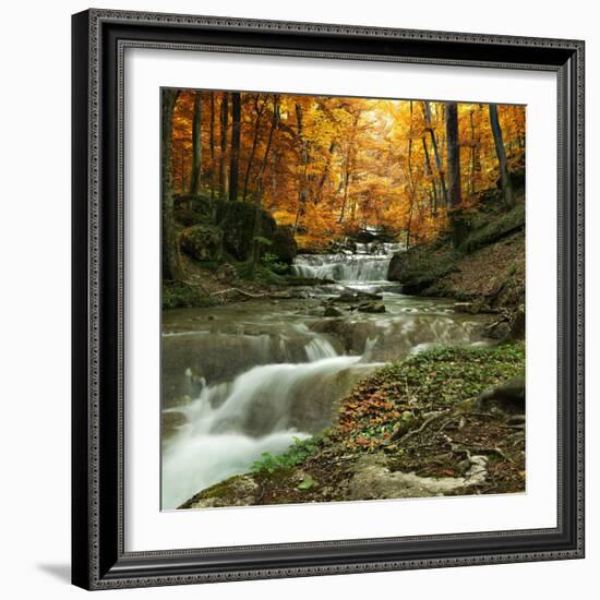 Autumn Creek Woods with Yellow Trees Foliage and Rocks in Forest Mountain.-Irochka-Framed Photographic Print