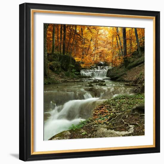 Autumn Creek Woods with Yellow Trees Foliage and Rocks in Forest Mountain.-Irochka-Framed Photographic Print