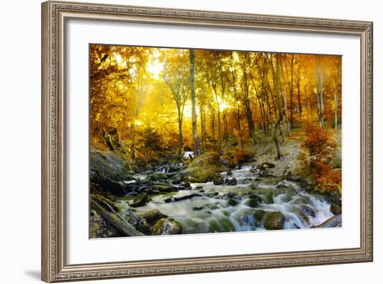 Autumn Creek Woods with Yellow Trees Foliage and Rocks in Forest Mountain.-Irochka-Framed Photographic Print