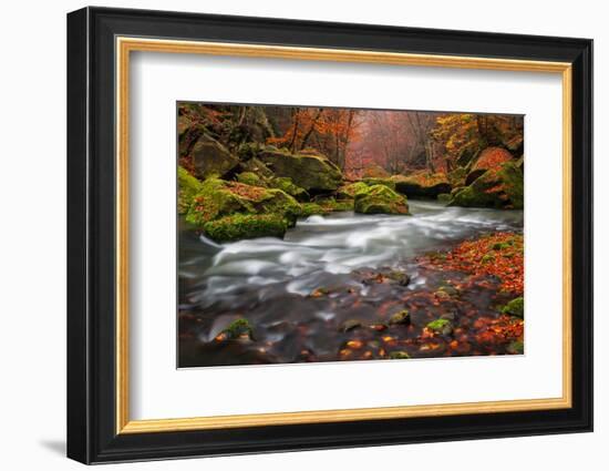 Autumn Creek-Jan S.-Framed Photographic Print