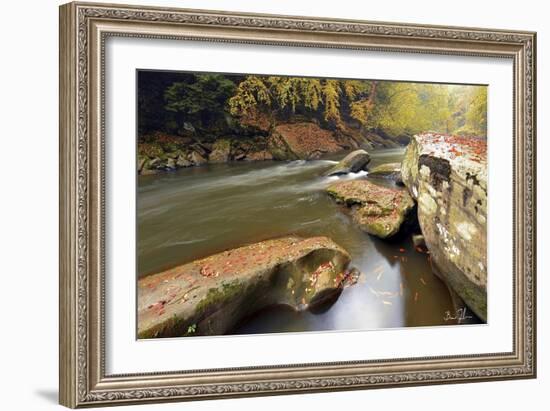 Autumn Creek-5fishcreative-Framed Giclee Print