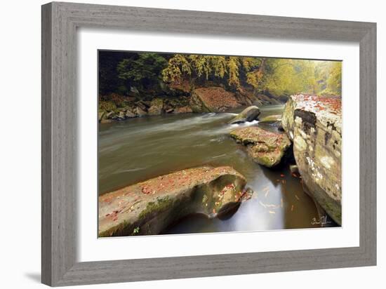 Autumn Creek-5fishcreative-Framed Giclee Print