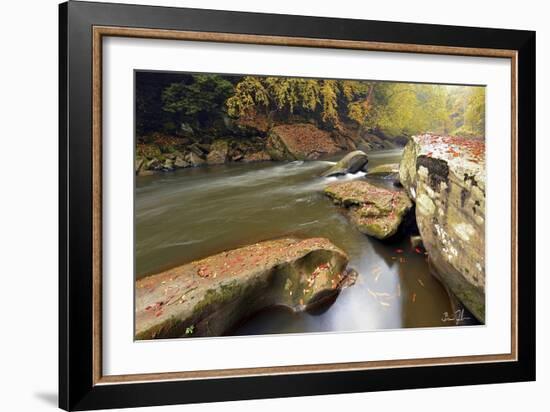 Autumn Creek-5fishcreative-Framed Giclee Print