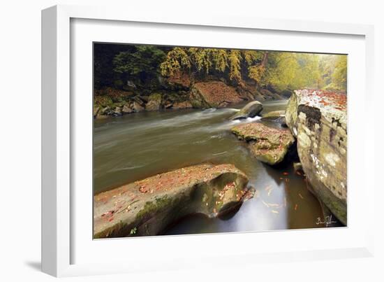 Autumn Creek-5fishcreative-Framed Giclee Print