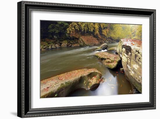 Autumn Creek-5fishcreative-Framed Giclee Print