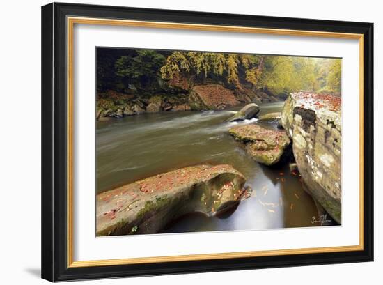 Autumn Creek-5fishcreative-Framed Giclee Print