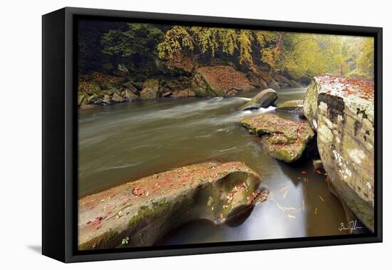 Autumn Creek-5fishcreative-Framed Premier Image Canvas