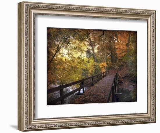 Autumn Crossing-Jessica Jenney-Framed Giclee Print