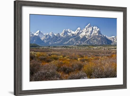 Autumn, Cunningham Cabin Area, Grand Tetons, Grand Teton NP, Wyoming-Michel Hersen-Framed Photographic Print