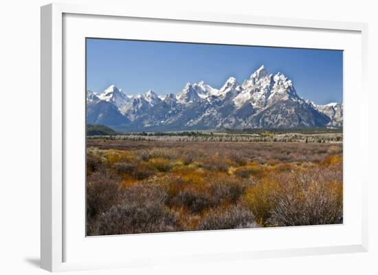 Autumn, Cunningham Cabin Area, Grand Tetons, Grand Teton NP, Wyoming-Michel Hersen-Framed Photographic Print