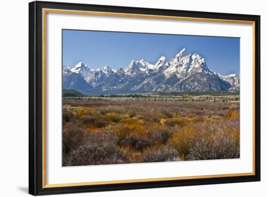 Autumn, Cunningham Cabin Area, Grand Tetons, Grand Teton NP, Wyoming-Michel Hersen-Framed Photographic Print