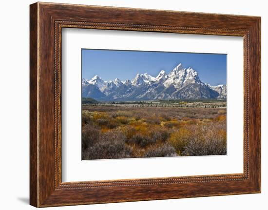 Autumn, Cunningham Cabin Area, Grand Tetons, Grand Teton NP, Wyoming-Michel Hersen-Framed Photographic Print