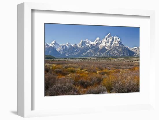 Autumn, Cunningham Cabin Area, Grand Tetons, Grand Teton NP, Wyoming-Michel Hersen-Framed Photographic Print