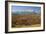 Autumn, Cunningham Cabin Area, Grand Tetons, Grand Teton NP, Wyoming-Michel Hersen-Framed Photographic Print