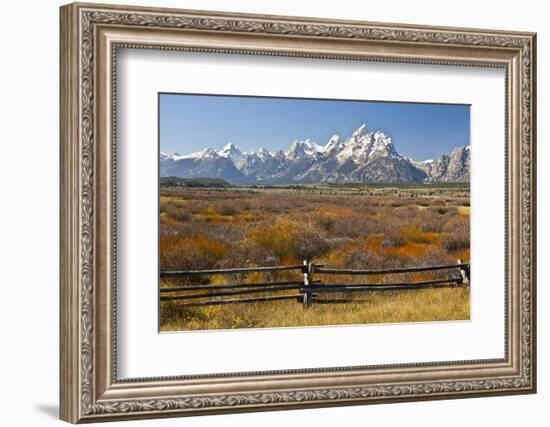 Autumn, Cunningham Cabin Area, Grand Tetons, Grand Teton NP, Wyoming-Michel Hersen-Framed Photographic Print