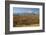 Autumn, Cunningham Cabin Area, Grand Tetons, Grand Teton NP, Wyoming-Michel Hersen-Framed Photographic Print