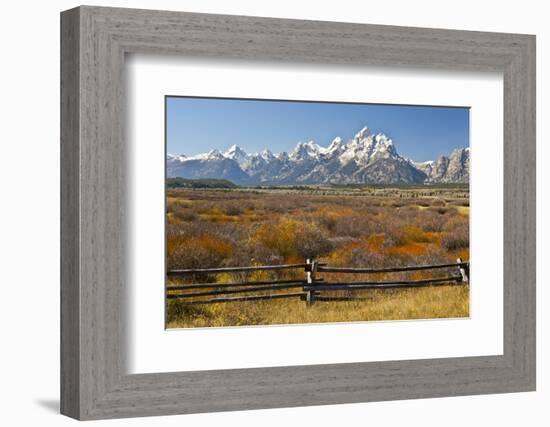 Autumn, Cunningham Cabin Area, Grand Tetons, Grand Teton NP, Wyoming-Michel Hersen-Framed Photographic Print