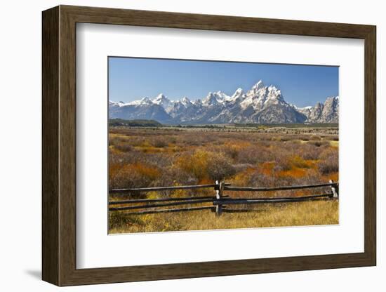 Autumn, Cunningham Cabin Area, Grand Tetons, Grand Teton NP, Wyoming-Michel Hersen-Framed Photographic Print