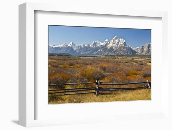 Autumn, Cunningham Cabin Area, Grand Tetons, Grand Teton NP, Wyoming-Michel Hersen-Framed Photographic Print